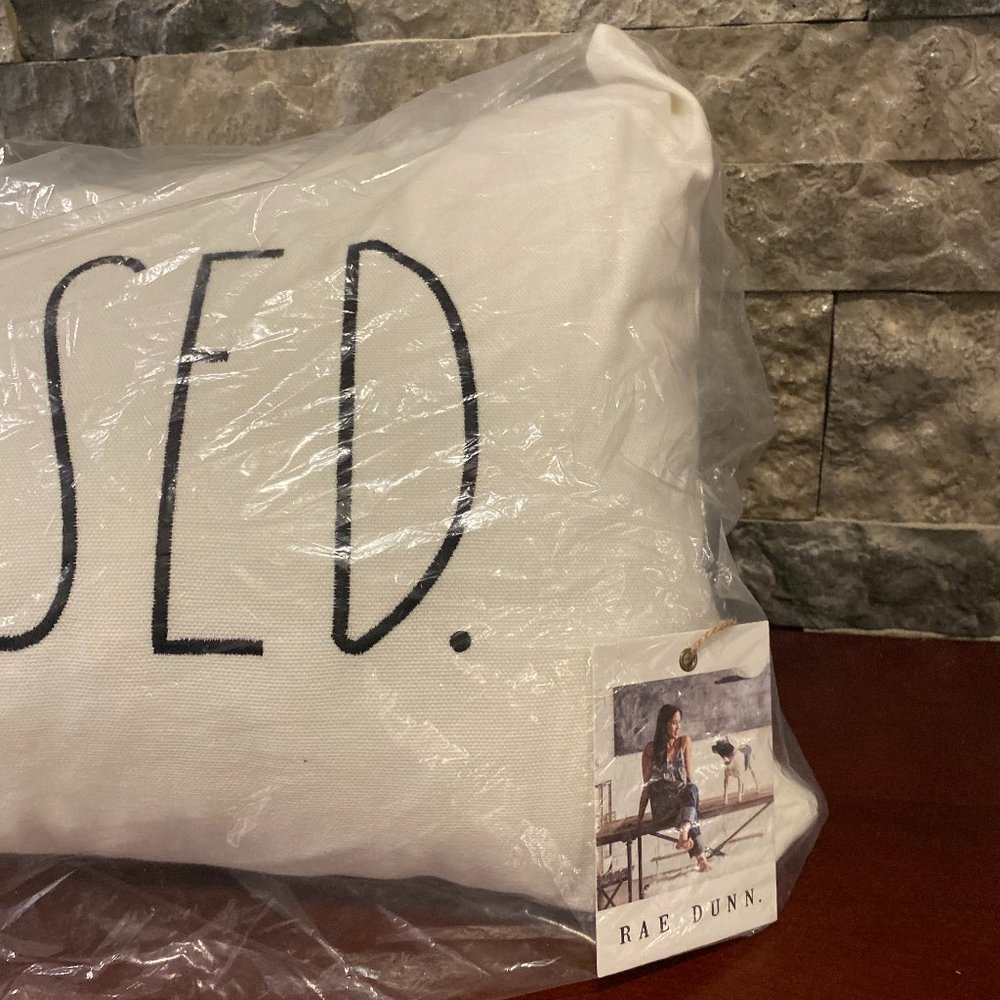 Rae Dunn Lumbar Pillow